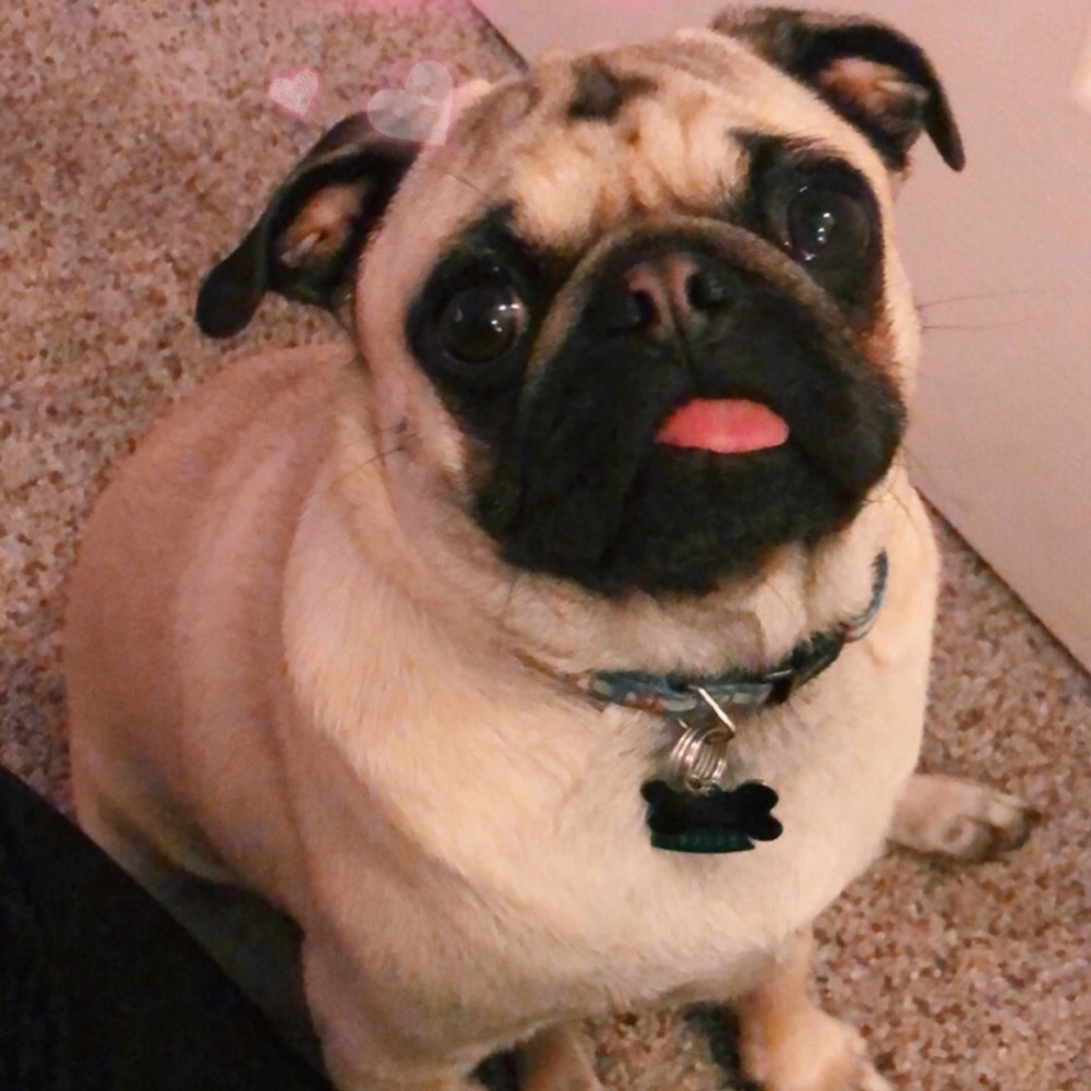 Meet your Posher, Julia